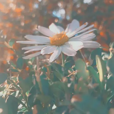 Profile image of ㅁㅈㅎ