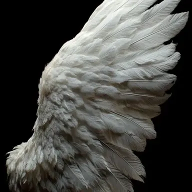 Profile image of 카야노 미코토