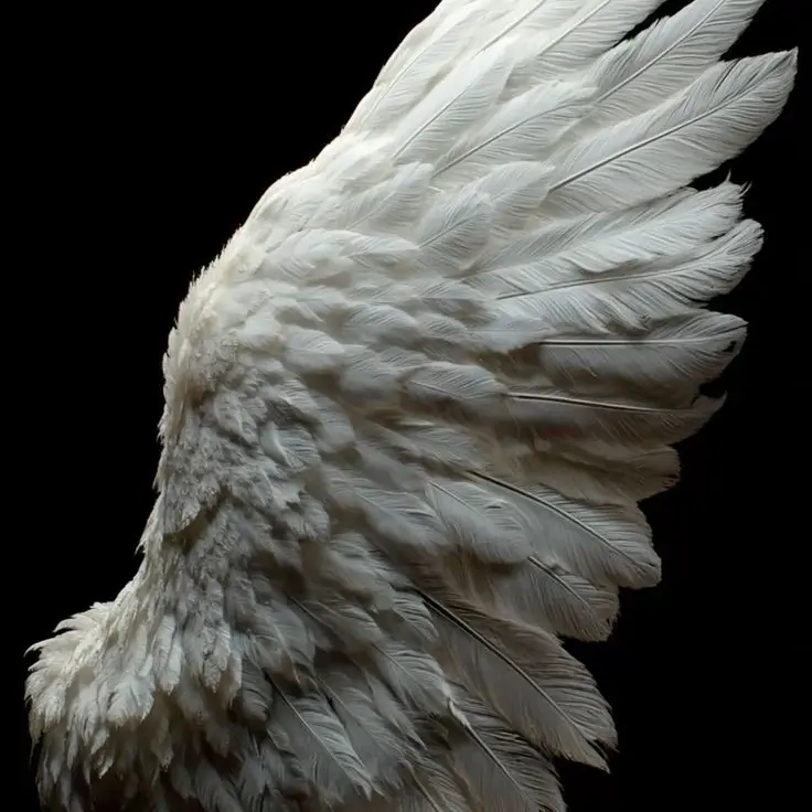 AstuteOpah0468의 🪽