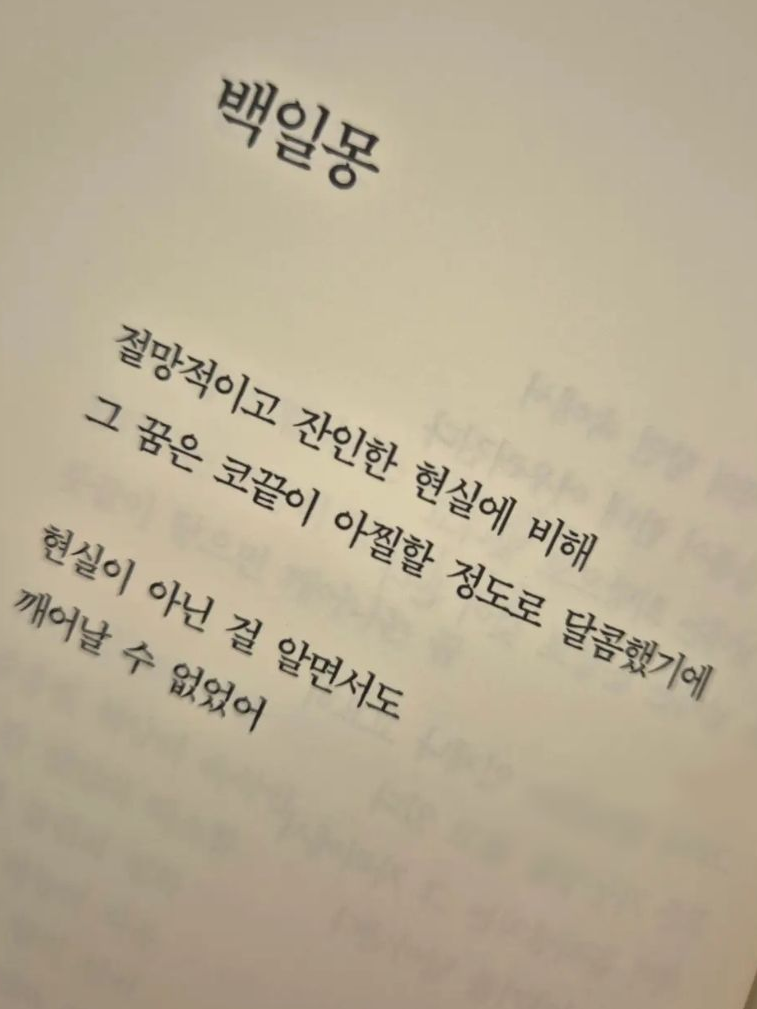 백일몽 대표 이미지
