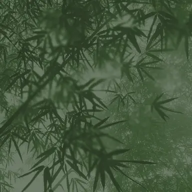 Profile image of 10142