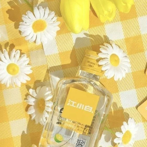 아이비