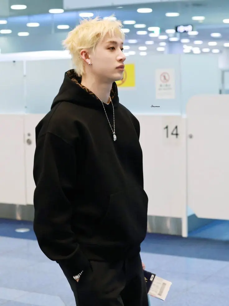 Funkyfroggy1636의 Bangchan CEO