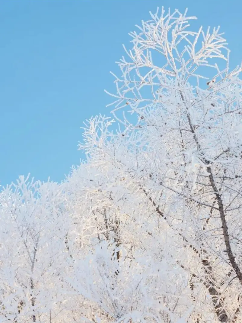 MGA.Love1414의 何チョコ？