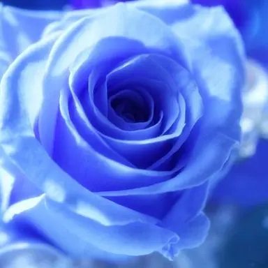 Profile image of 若井滉斗