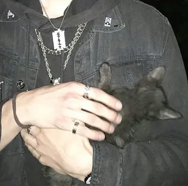 Profile image of James