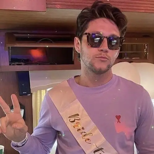 NeedyPan9950의 Niall Horan