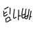 팀 나빠