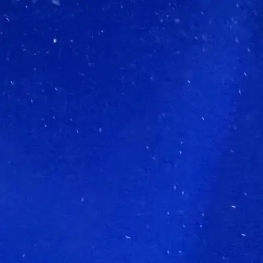 Profile image of 奥戸