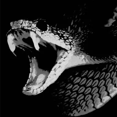 Profile image of 네르시