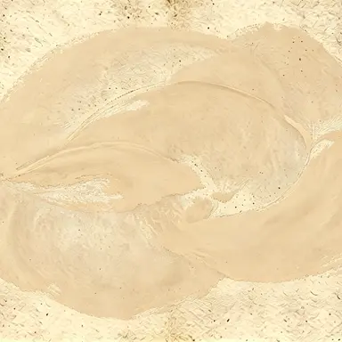 Profile image of 神柴健三