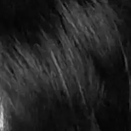 Profile image of 한동믽