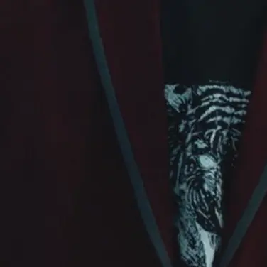 Profile image of 금성제