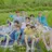 비투비,아스트로,엑스원,워너원 친오빠들