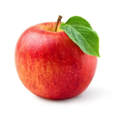 Profile image of 유기사