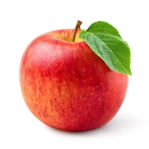 PlaidFlag2631의 팀나빠