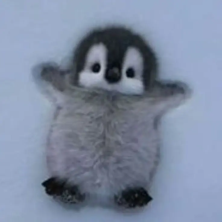 Serenitas의 햇살다정공 X 피폐수