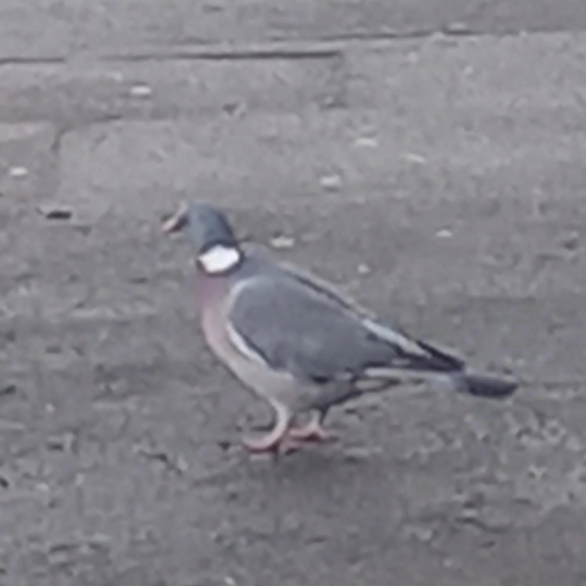 OldBeach6053의 Borrowed Fatherhood