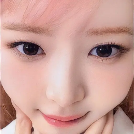 cream0521의 햄스터,레이