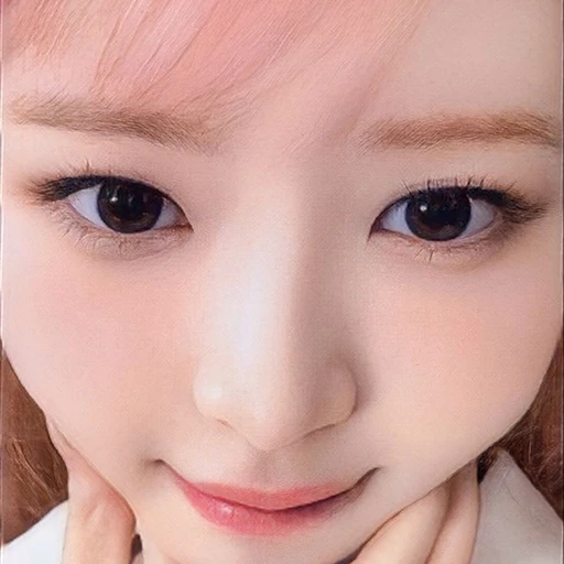 햄스터,레이