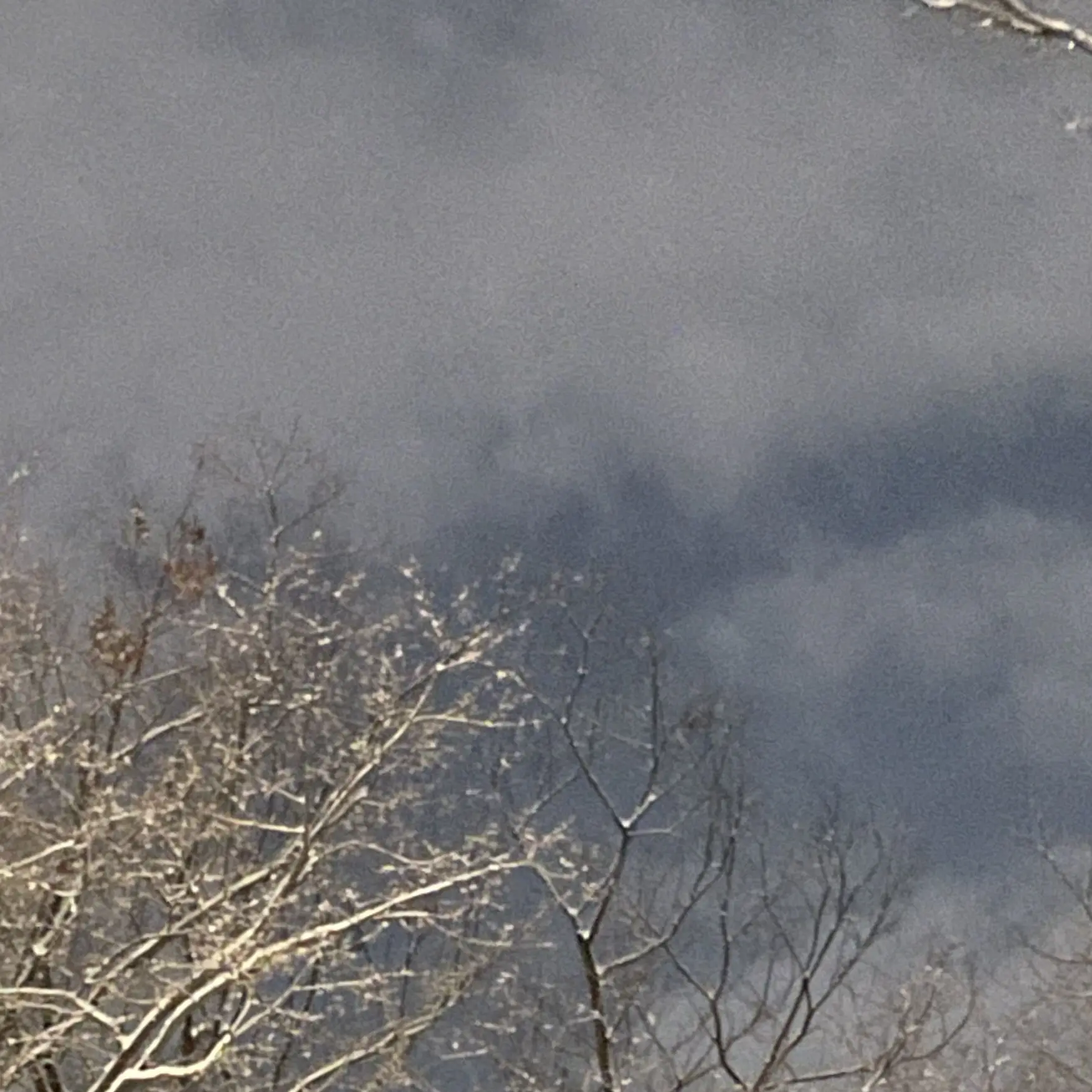 NCTzen_127DREAMWISH의 노란장판