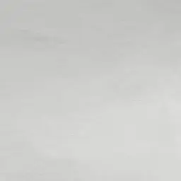 Profile image of ニラギ