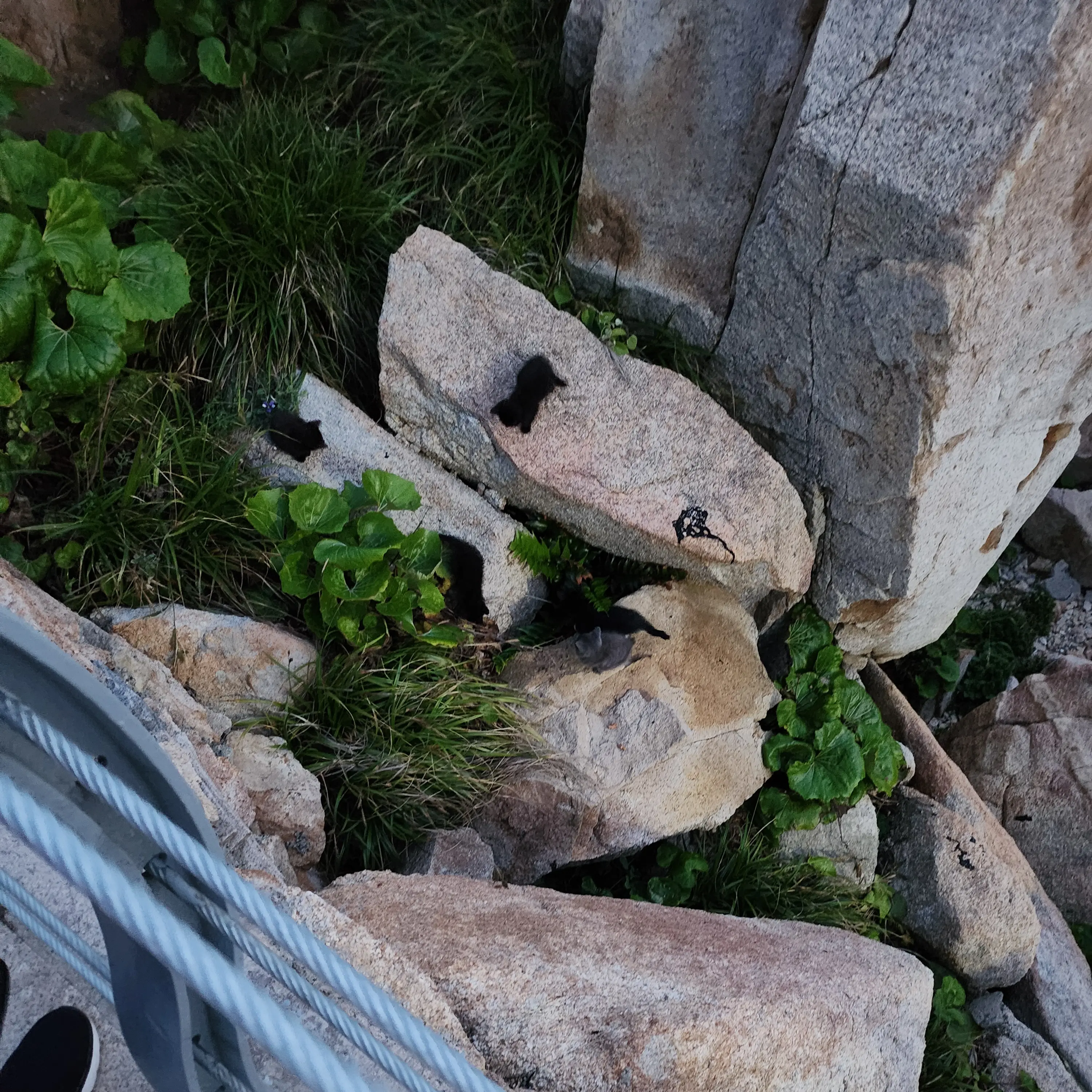 crazy_person_Seol_0821의 리레볼루션(일진+반전)