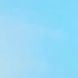 Profile image of AI