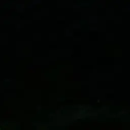 allo._.0520의 신정환