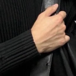 전이정