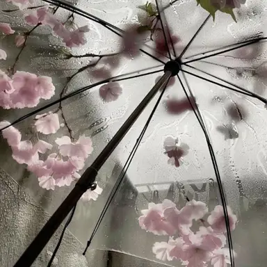 Profile image of 홍루