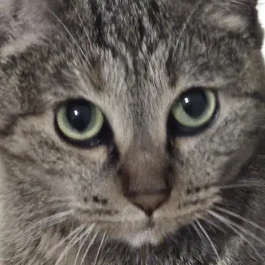 Profile image of 하나준