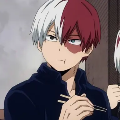 Profile image of Shoto Todoroki