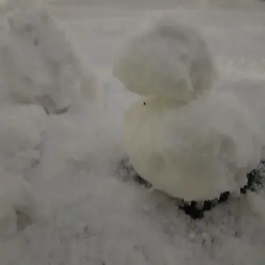 Profile image of 프로토타입