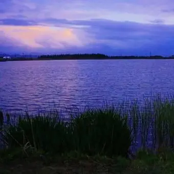 Profile image of シン