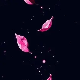 Profile image of テヨン