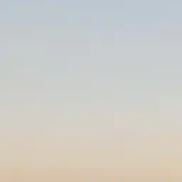 Profile image of 지성