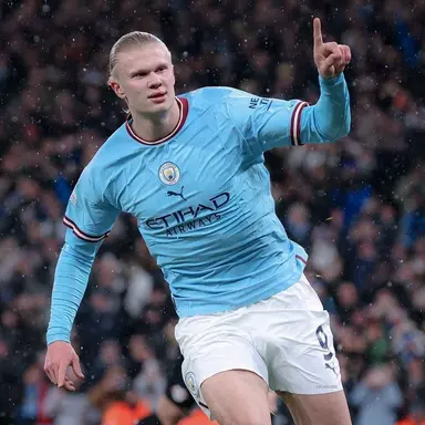 Profile image of Erling Haaland