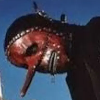 Profile image of Chris Fehn