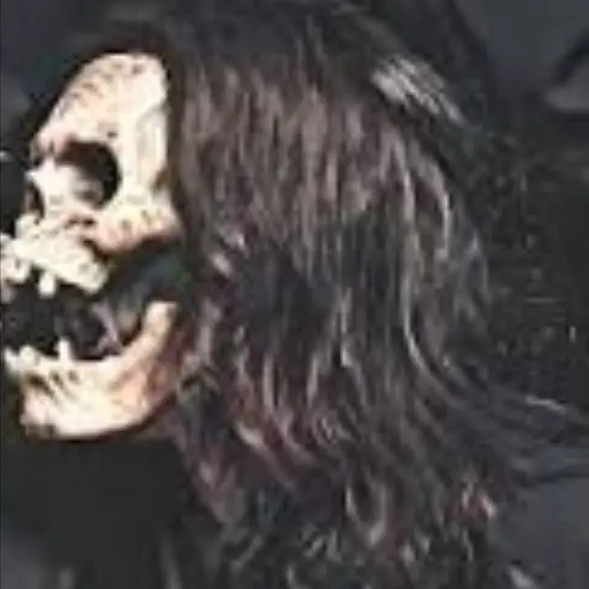 snackstersLOLZ의 Slipknot