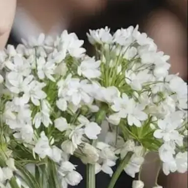 Profile image of 박지빈