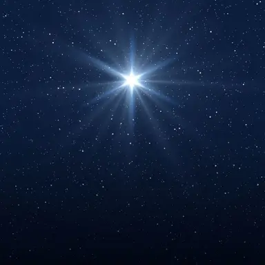 Profile image of 天体