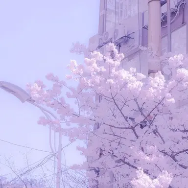 Profile image of 멜로우