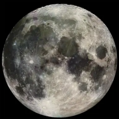 Profile image of Moon