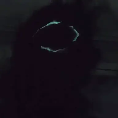 Profile image of 페일 라이더