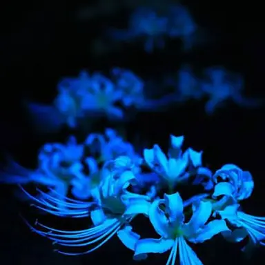 Profile image of 우츠 선생님