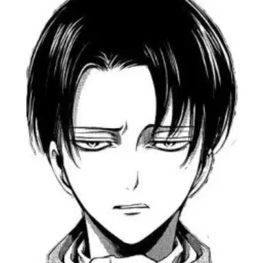 Profile image of Levi Ackerman