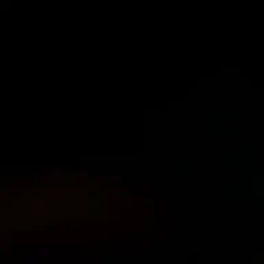 Profile image of マフィアのボス