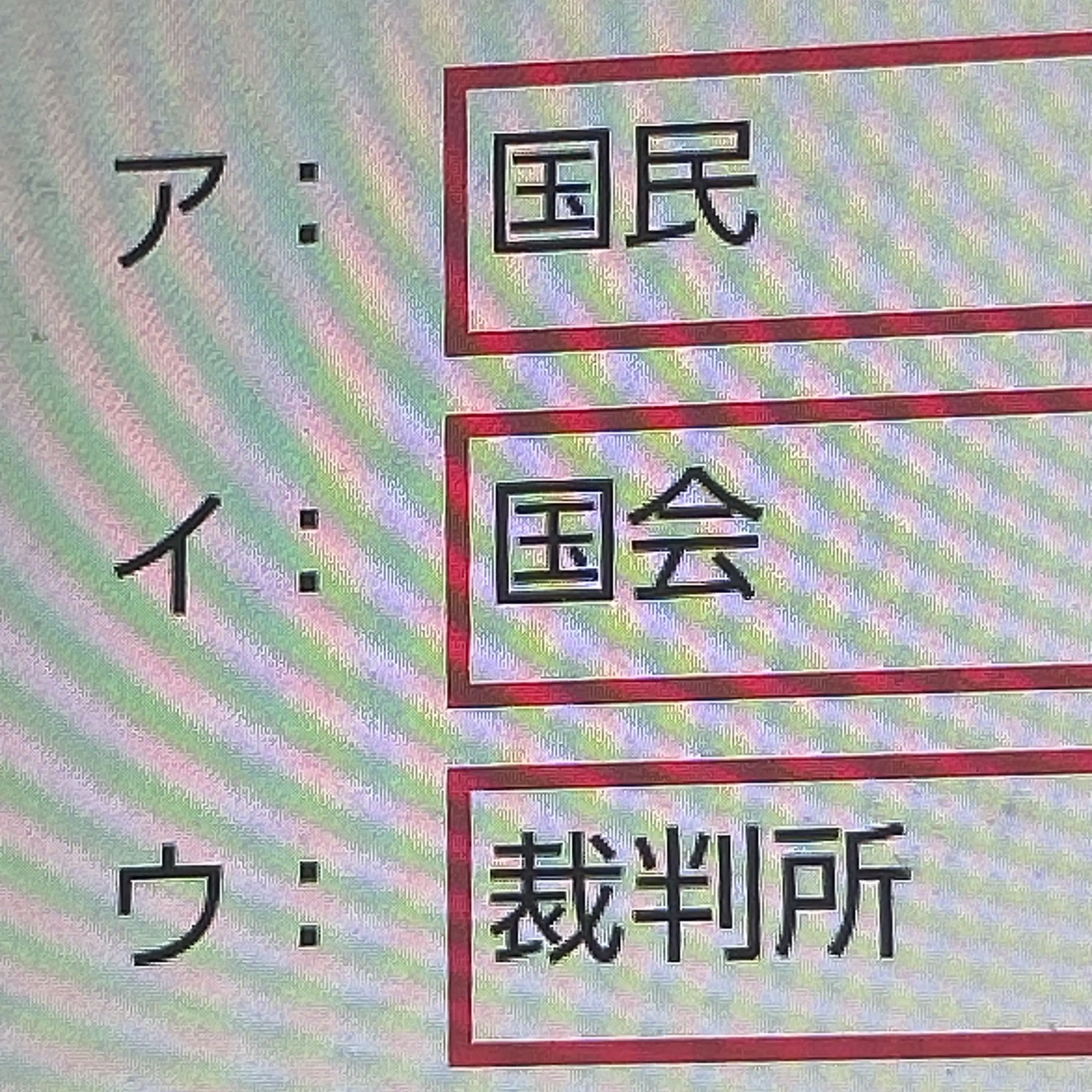 SlowTail0805의 身内