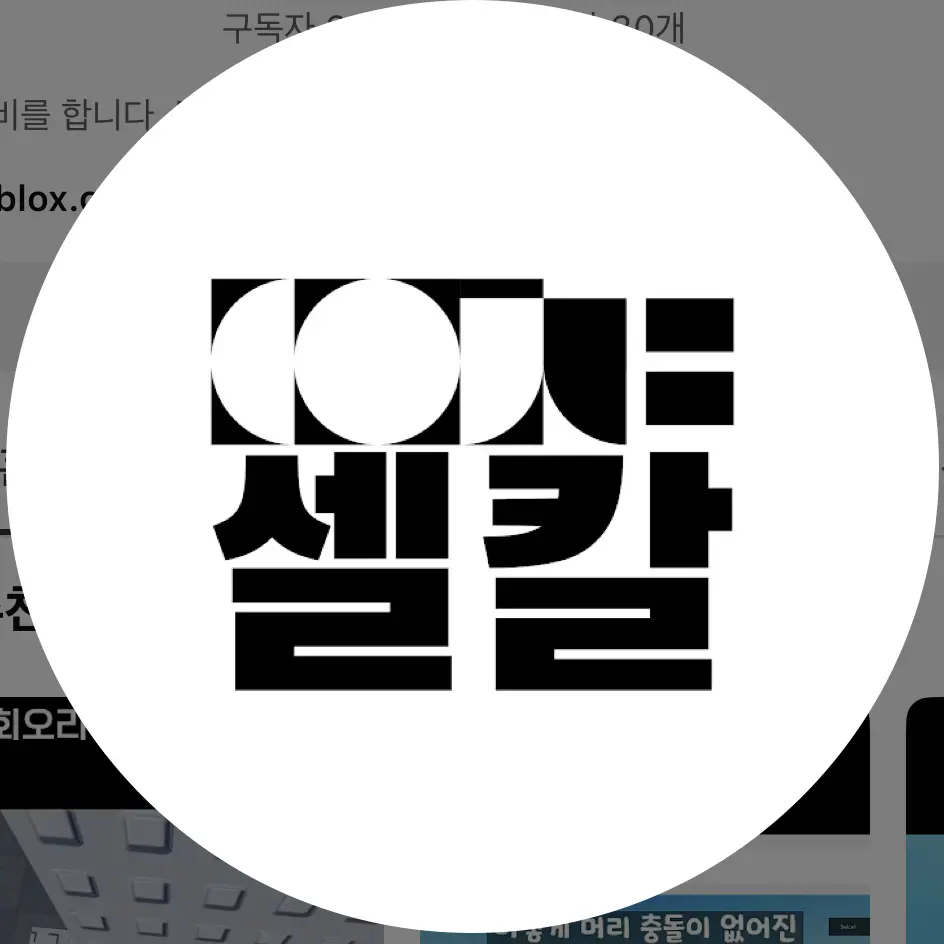 FestalPea2215의 독감 걸린 셀칼,평학,호원